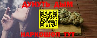 тгк Обь
