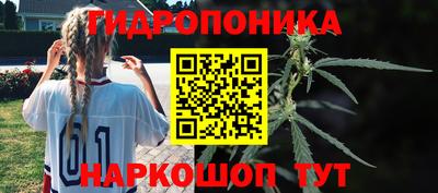 тгк Обь